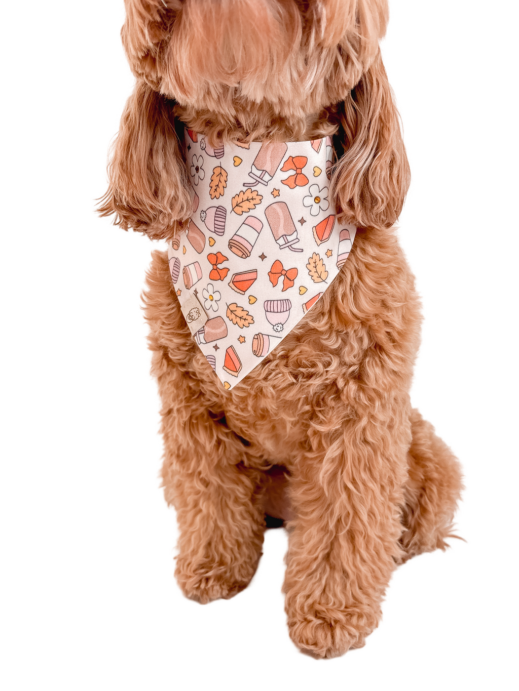 FALL SEASON BANDANA