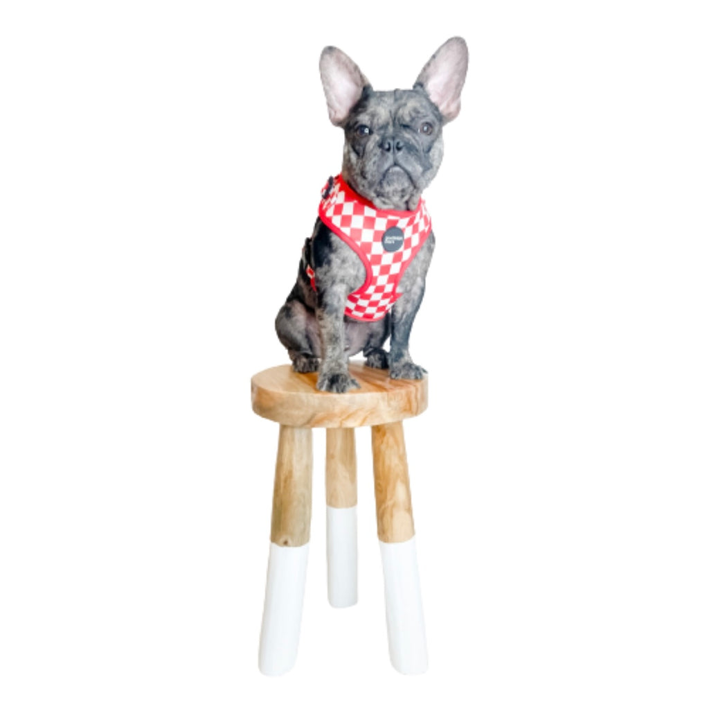 RED AND WHITE CHEQUERED HARNESS