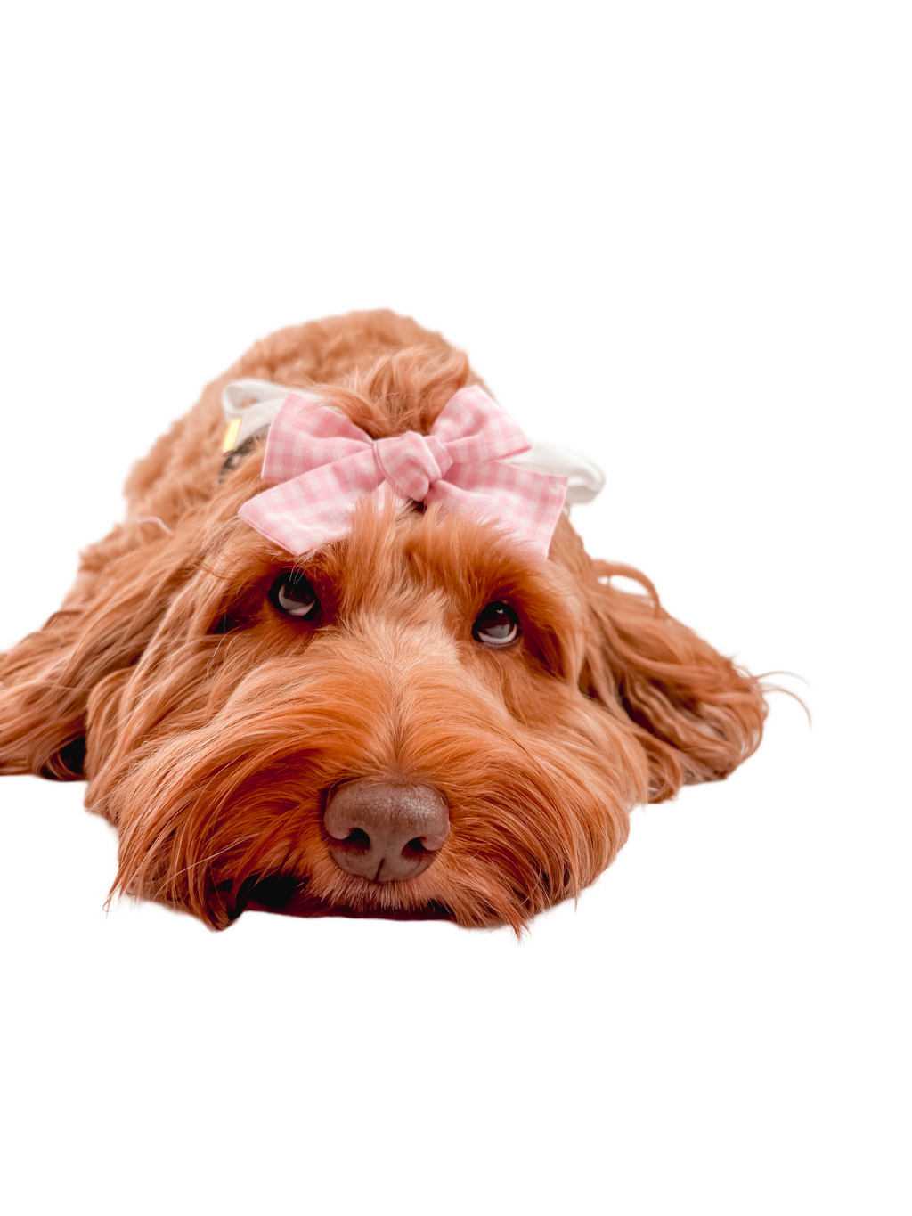 PINK CHECKER BOW