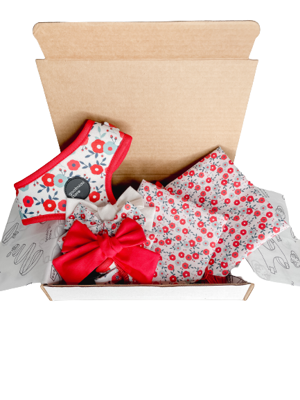 BLOSSOM BUNDLE