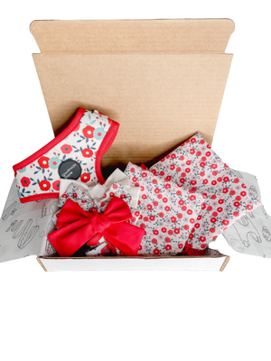 BLOSSOM BUNDLE
