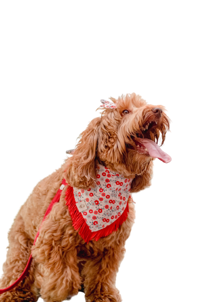 BLOSSOM FRINGE BANDANA