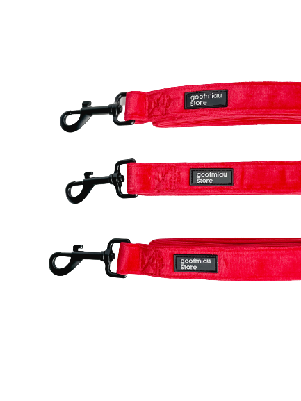 RED VELVET LEASH